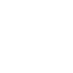 ページトップへ戻る